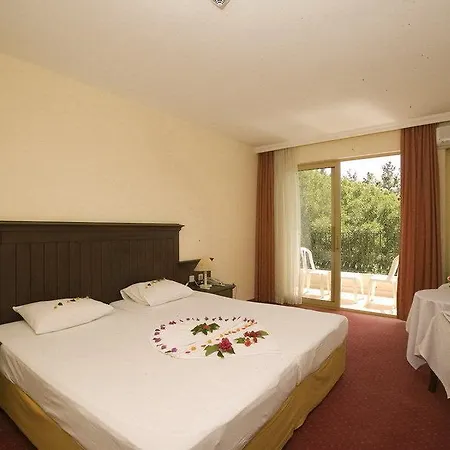 فندق Palm D'or 4*