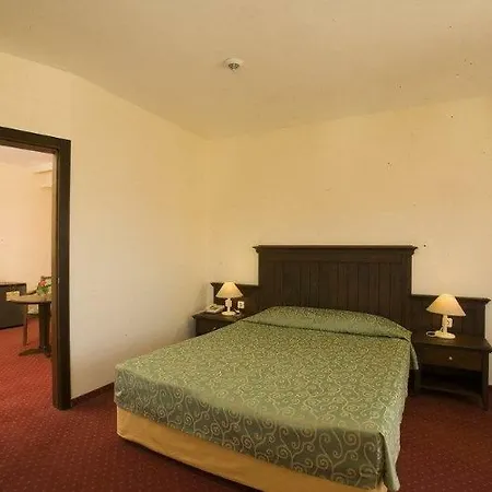 Palm D'or 4* سيدي