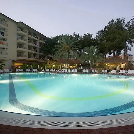 Palm D'or Side