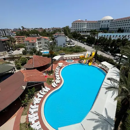 Palm D'or Side