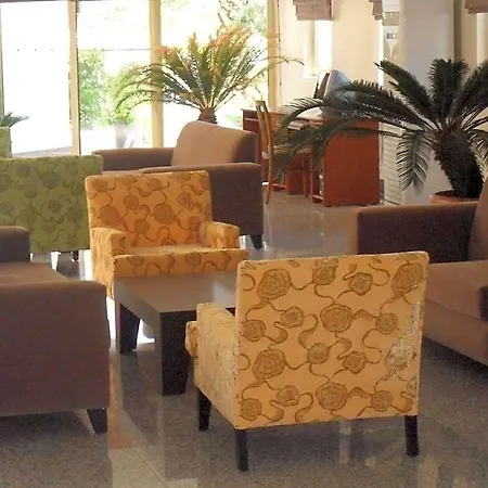 Hotel Palm D'or
