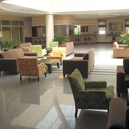Hotel Palm D'or