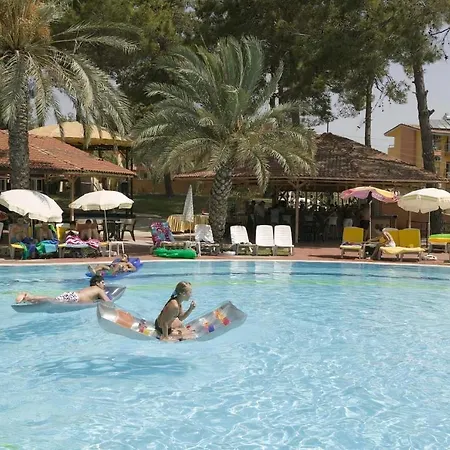 Отель Palm D'or