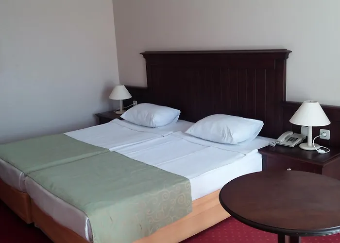 Palm D'or Σιντέ