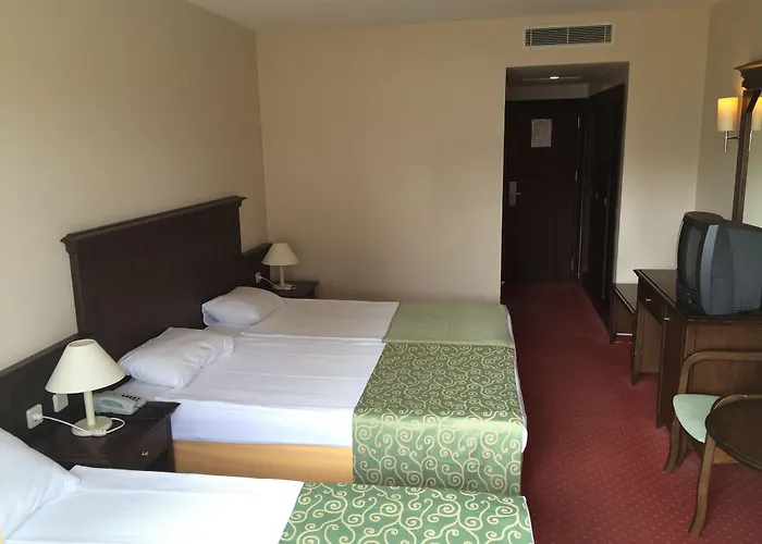 Palm D'or Отель 4*