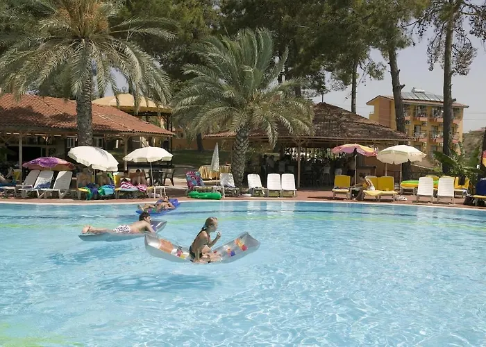 Отель Palm D'or